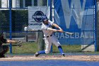 Baseball vs Babson  Wheaton College Baseball vs Babson during Championship game of the NEWMAC Championship hosted by Wheaton. - (Photo by Keith Nordstrom) : Wheaton, baseball, NEWMAC